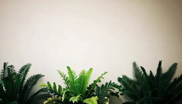 需求反馈机制在外包管理中的应用与限制